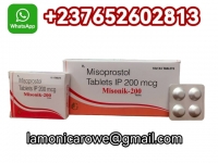  Buy Cytotec Misoprostol Pils In Slovakia